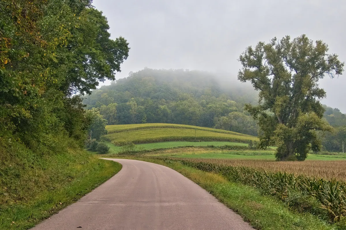 Country road curving past green fields and a wooded bluff