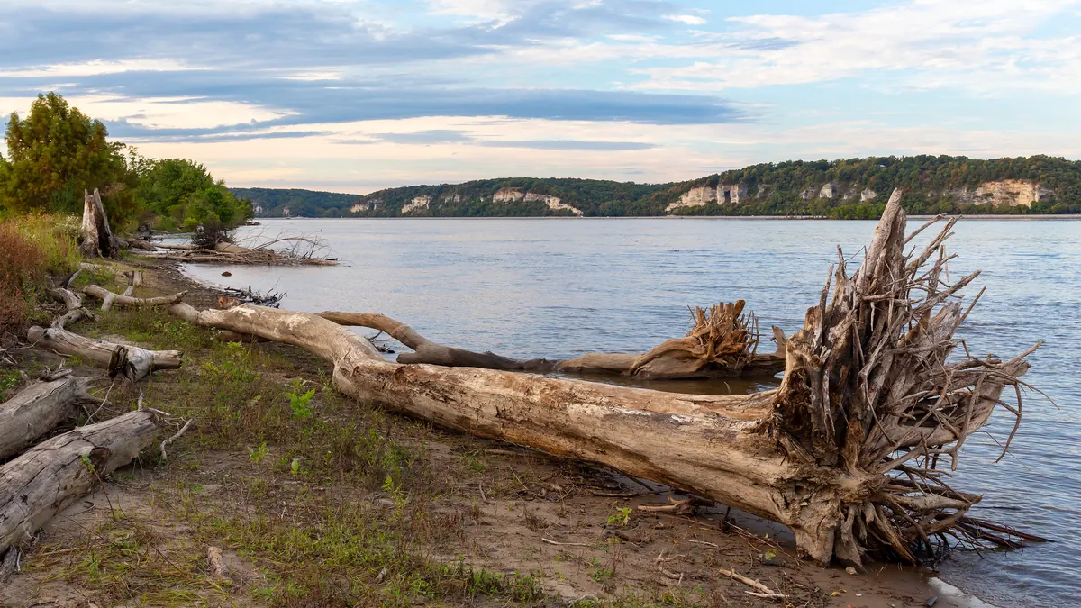 Mississippi River shoreline with driftwood and limestone bluffs across the water